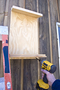 Attaching the housing to the barn wall. This should be located where it will get the morning sunlight and be high enough off the ground to be safe from cats, racoons and other thieves of the night.